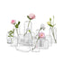 ZENS Clear Small Bud Vase Set