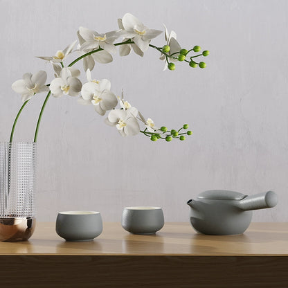 Japanese Ceramic Kyusu Tea Set 2 Cups with Tea Tray Grey